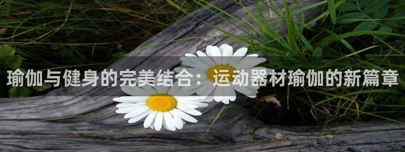 征途国际招商：瑜伽与健身的完美结合：运动器材瑜伽的新