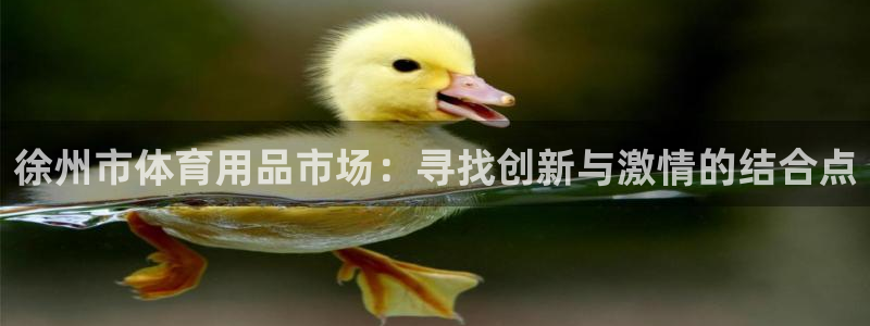 征途国际平台注册流程视频：徐州市体育用品市场：寻找创