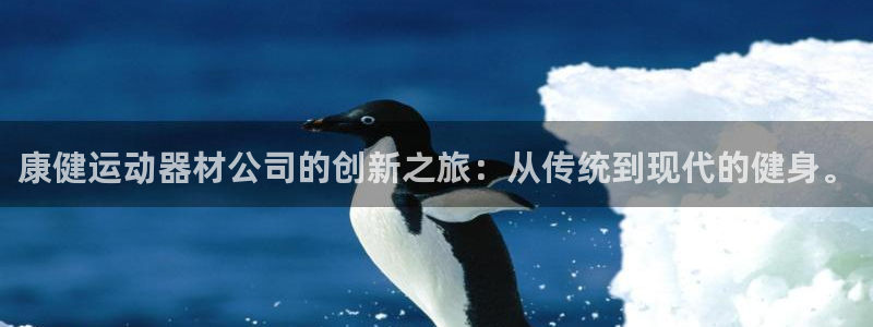 征途国际集团官网首页：康健运动器材公司的创新之旅：从