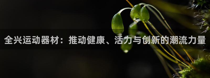 征途国际招商电话是多少：全兴运动器材：推动健康、活力