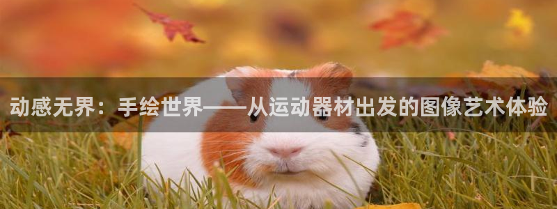 征途国际平台：动感无界：手绘世界——从运动器材出发的图像艺术
