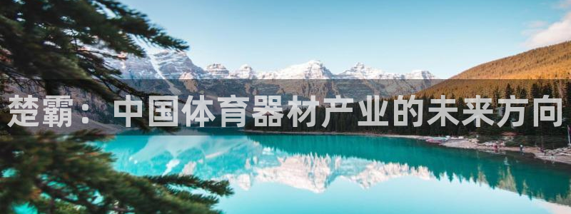 征途国际新能源：楚霸：中国体育器材产业的未来方向