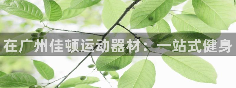 征途国际娱乐代理怎么样：在广州佳顿运动器材：一站式健身