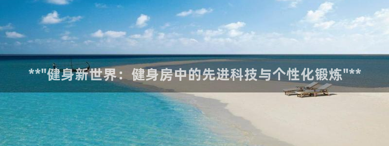 德国征途国际集团：**\