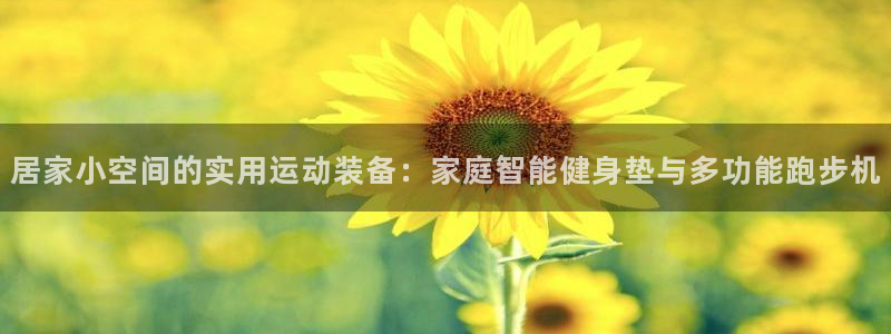 征途国际招商电话号码是多少啊：居家小空间的实用运动装备：家庭