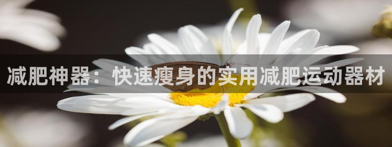 征途国际平台是正规平台吗：减肥神器：快速瘦身的实用减肥运动器