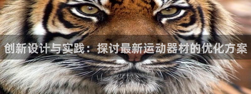 征途国际娱乐：创新设计与实践：探讨最新运动器材的优化方案