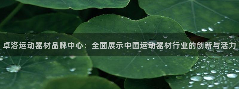征途国际招商电话号码查询