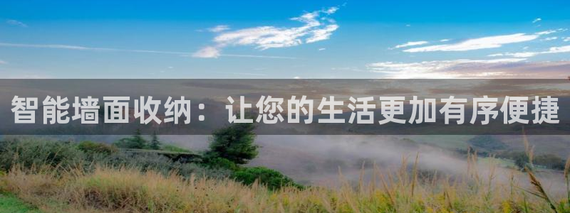 征途国际招商电话号码：智能墙面收纳：让您的生活更加有序便捷