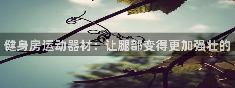 征途国际招商电话是多少号码