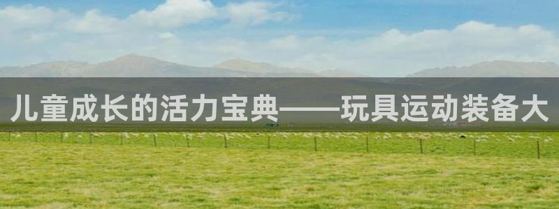 征途国际招商电话是多少号码：儿童成长的活力宝典——玩具运动装