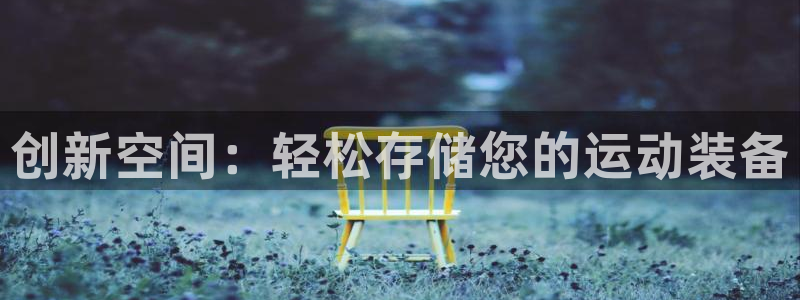 征途国际招商电话号码查询：创新空间：轻松存储您的运动装备