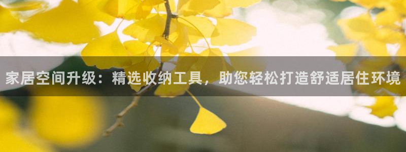 海南征途国际发展怎么样：家居空间升级：精选收纳工具，