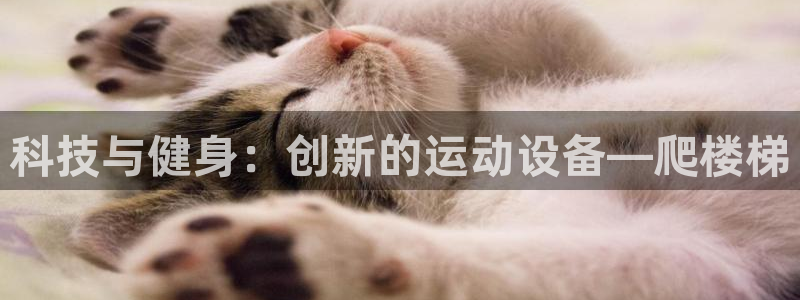 征途国际平台APP：科技与健身：创新的运动设备—爬楼