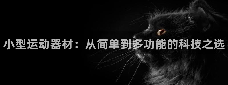 征途国际娱乐40996：小型运动器材：从简单到多功能的科技之