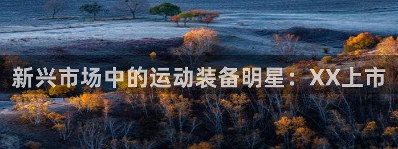 征途国际平台假的吗是真的吗吗：新兴市场中的运动装备明星：XX