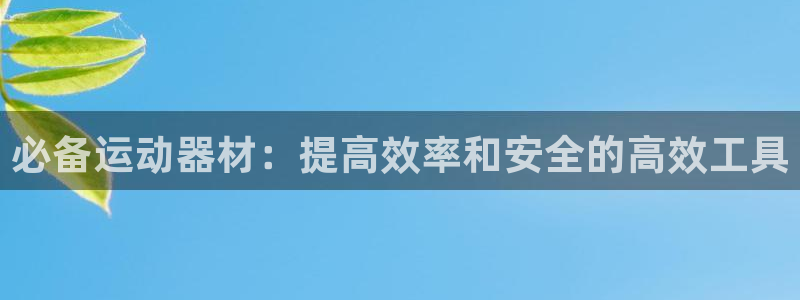 德国征途国际集团
