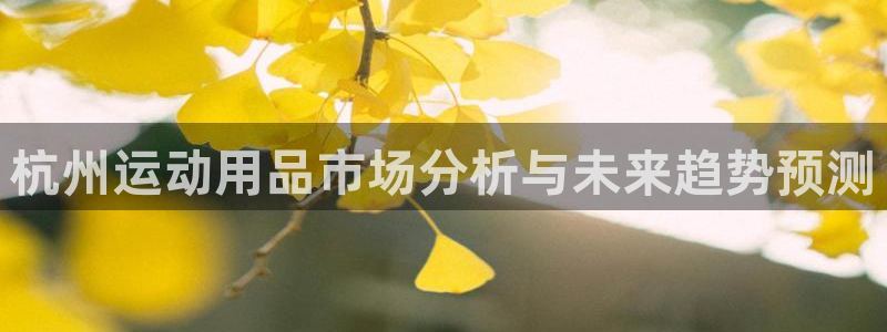 征途国际招商电话号码查询是多少：杭州运动用品市场分析