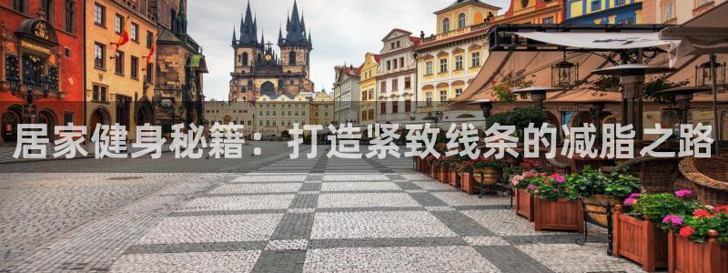 征途国际平台注册流程视频：居家健身秘籍：打造紧致线条